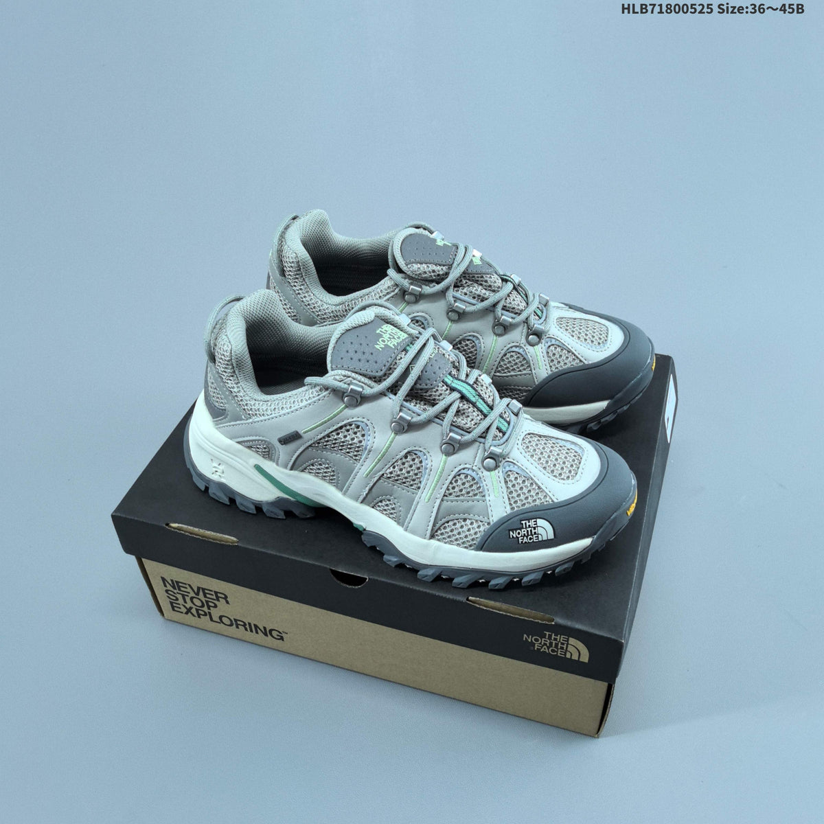The North Face Hedgehog 06 VST GORE-TEX Hiking Footwear - product image from the listing.