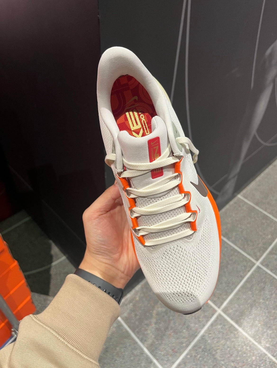Nike Pegasus 41 CNY Edition Shoes for Running HV5975-102 - product image from the listing.