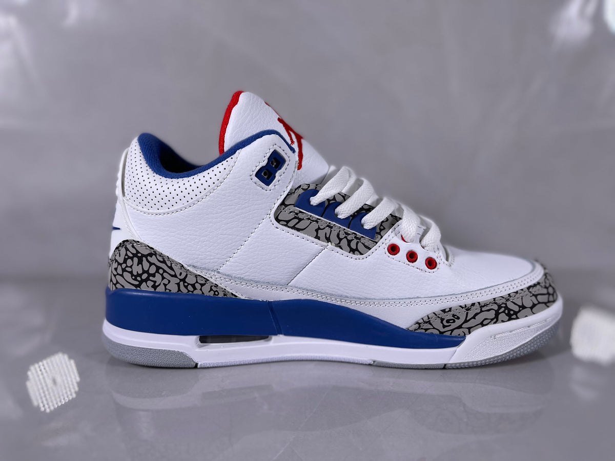 White and Blue Elephant Print Sneakers - Jordan 3 - product image from the listing.