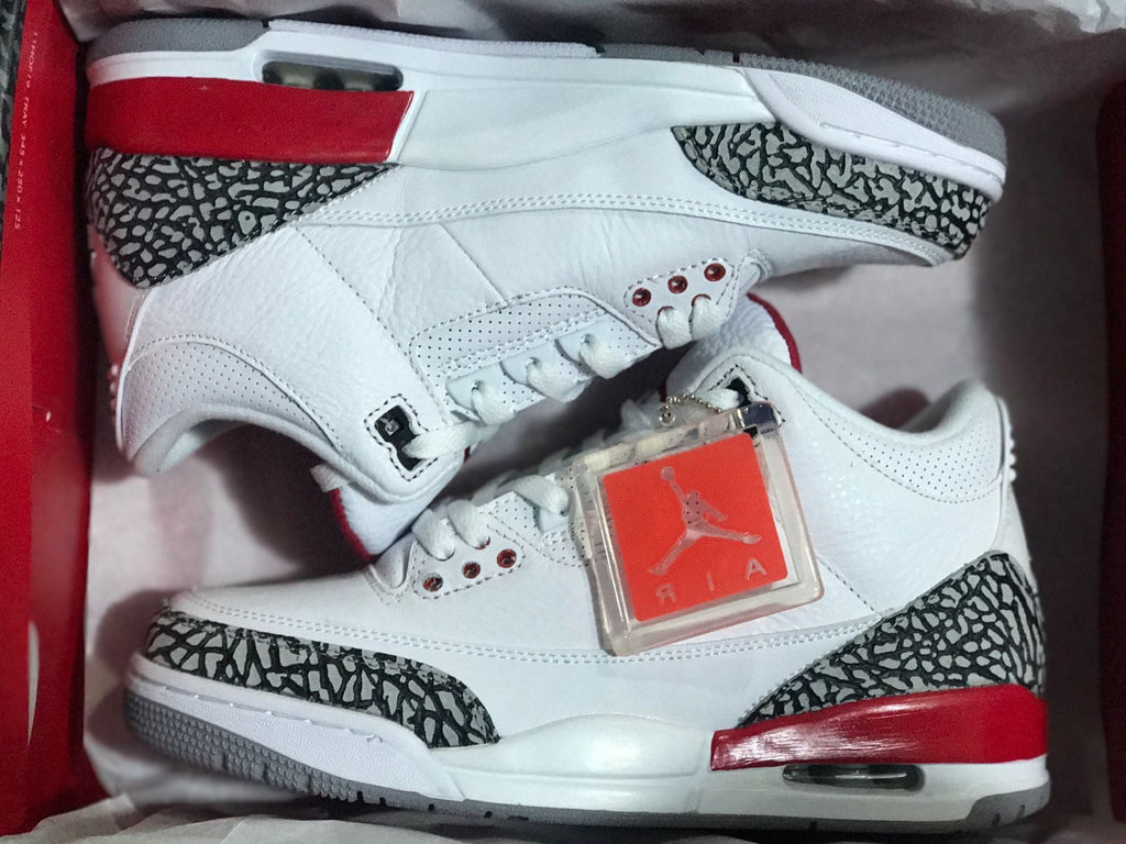 White Red Elephant Print Sneakers - Jordan 3 Retro - product image from the listing.