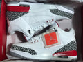 White Red Elephant Print Sneakers - Jordan 3 Retro - product image from the listing.