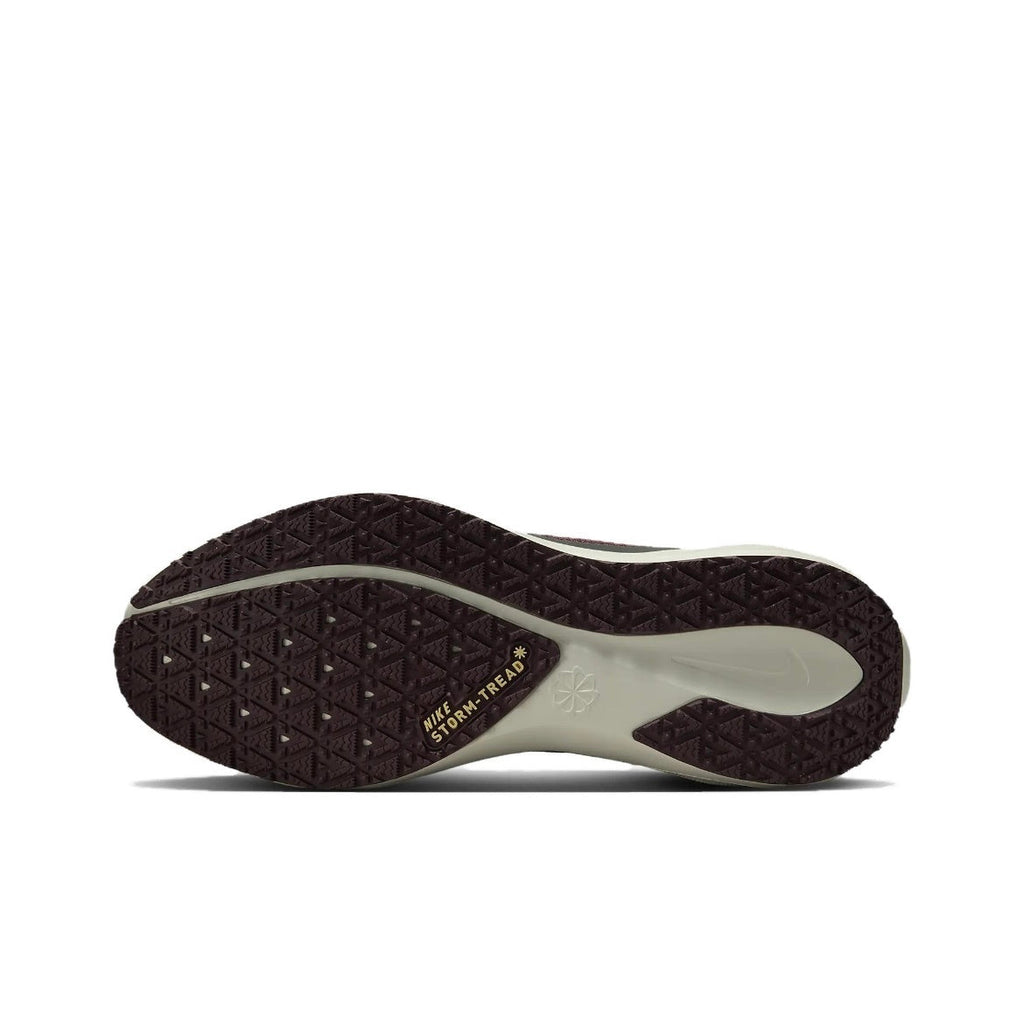 Nike Pegasus 41 GORE-TEX Shoes for Running FQ1356-003 - product image from the listing.