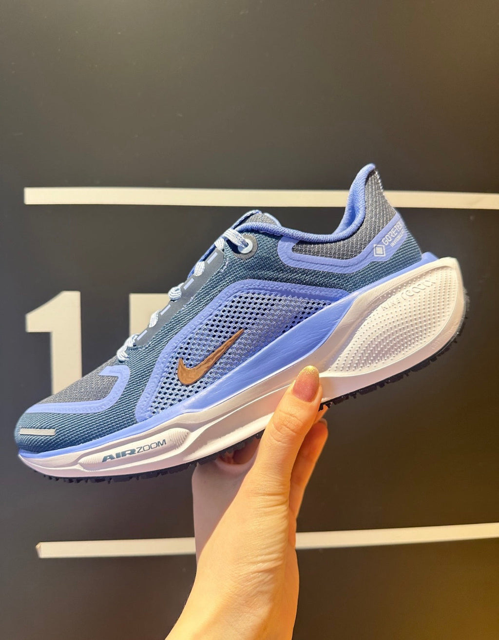 Nike Pegasus 41 GORE-TEX Running Shoes FQ1357-400 in Blue - product image from the listing.