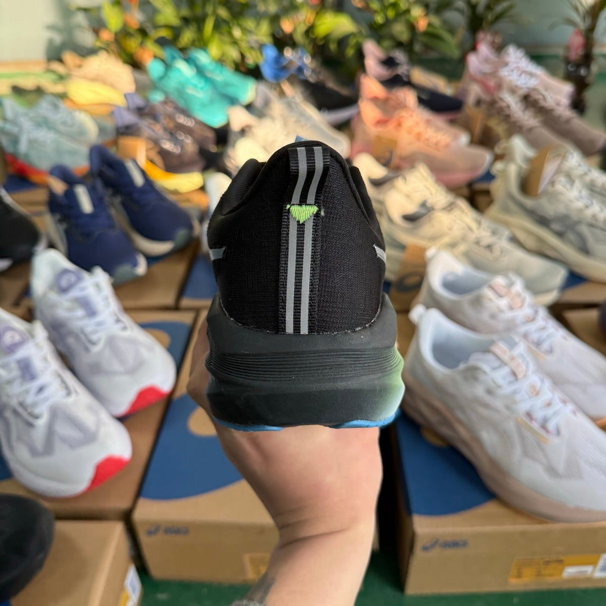 ASICS Novablast 5 LE Running Shoes in Black Silver - product image from the listing.