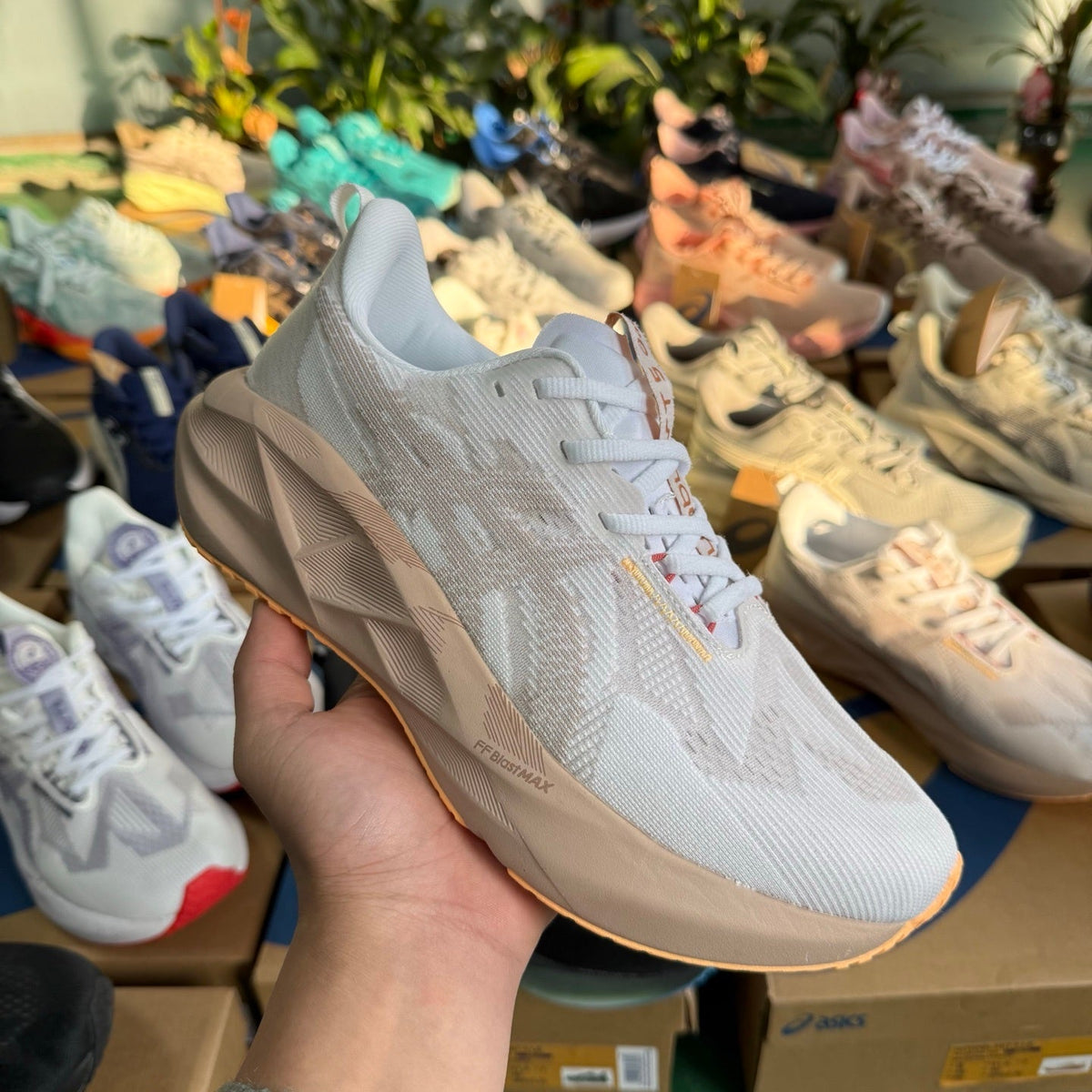 ASICS NOVABLAST 5 LE Running Shoes in White Pink Purple - product image from the listing.