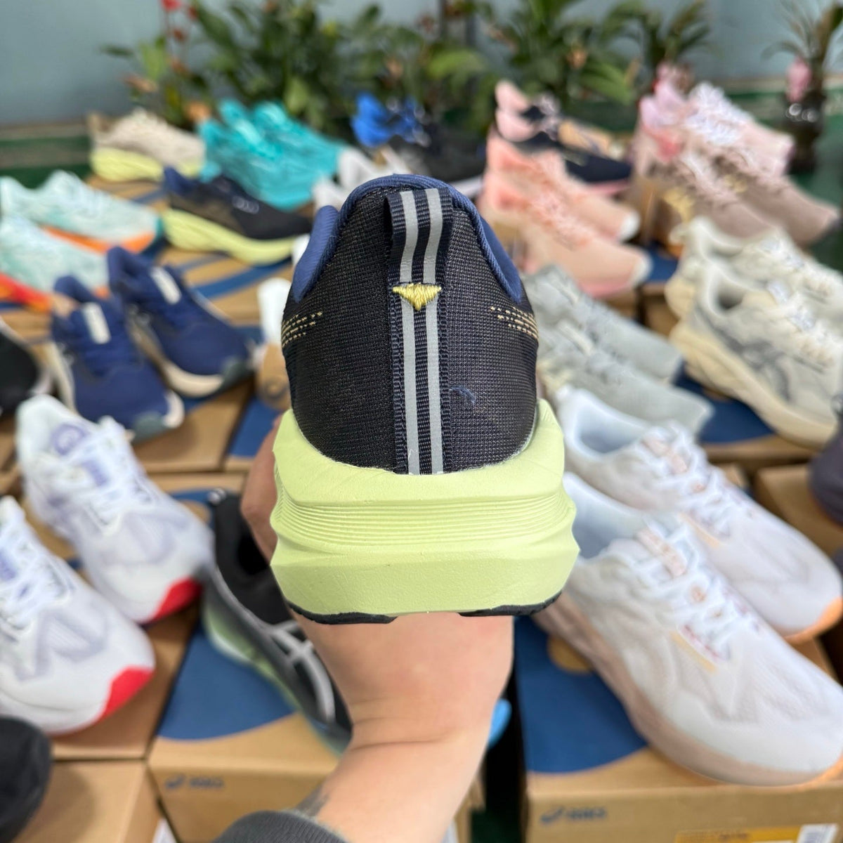 ASICS Novablast 5 LE Running Shoes in Dark Blue Yellow - product image from the listing.