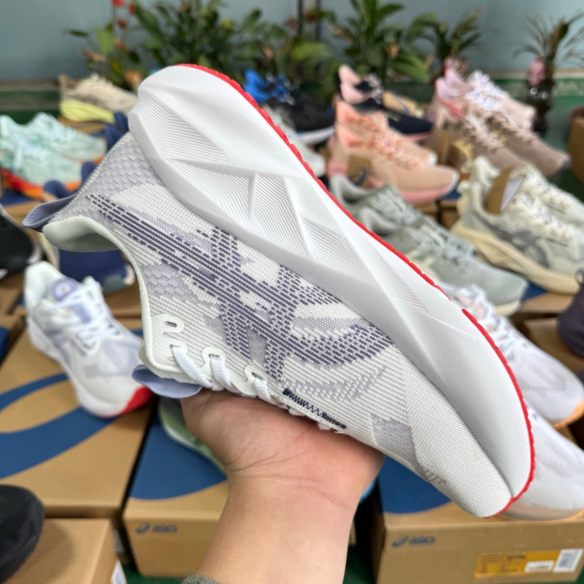 ASICS NOVABLAST 5 LE Running Shoes in White Purple - product image from the listing.