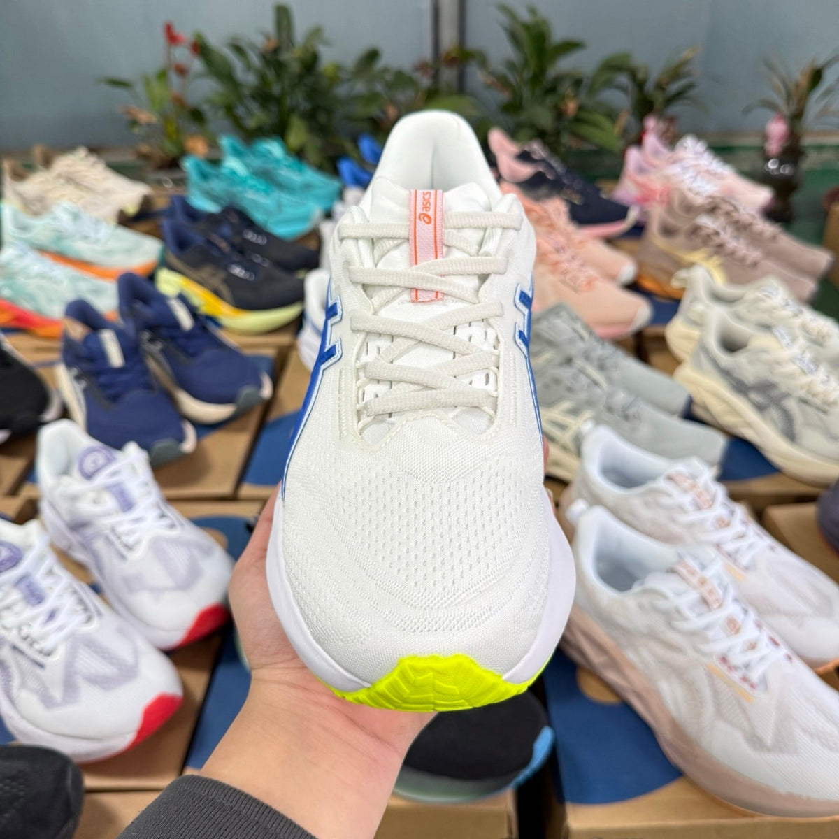 ASICS Novablast 5 LE Running Shoes in White Blue - product image from the listing.