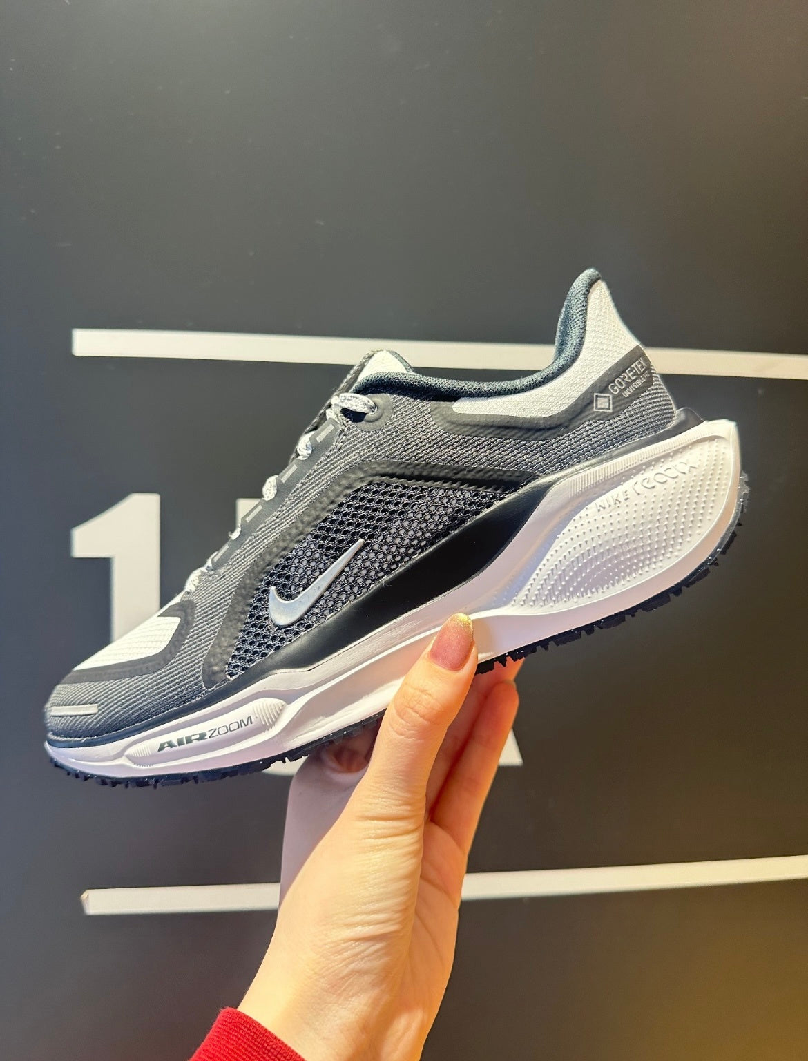 Nike Pegasus 41 GORE-TEX Running Shoes in Black White FQ1356-002 - product image from the listing.