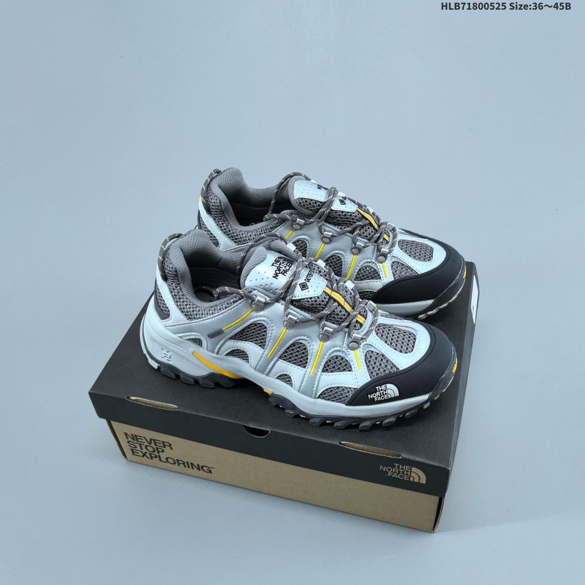 The North Face Hedgehog 06 VST GORE-TEX Hiking Footwear - product image from the listing.