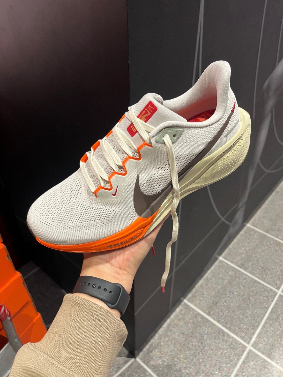 Nike Pegasus 41 CNY Edition Shoes for Running HV5975-102 - product image from the listing.